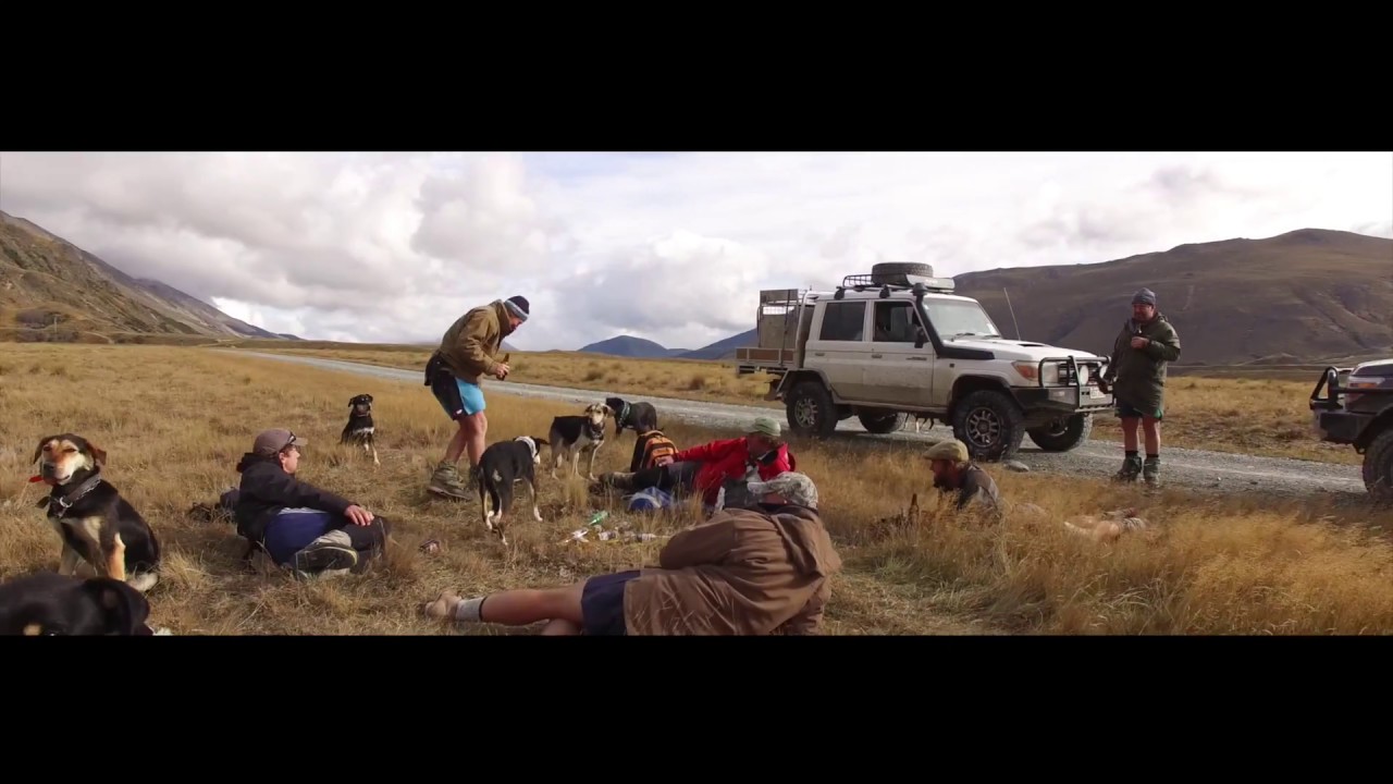 Walter Peak Autumn Muster