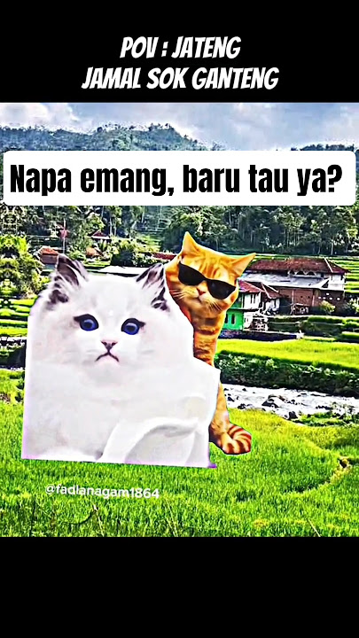 baru tau ya?, emang ganteng #sakuraschoolsimulator #sss #fypyoutube #cat #funny #memes #animasi