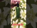 Mini Plant Mist 🌿🌿🌿 #diy #craft #handmade #shortvideo #shorts #youtubeshorts