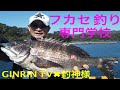 堤防から激安まき餌でチヌ釣り釣行【フカセ釣り専門学校】