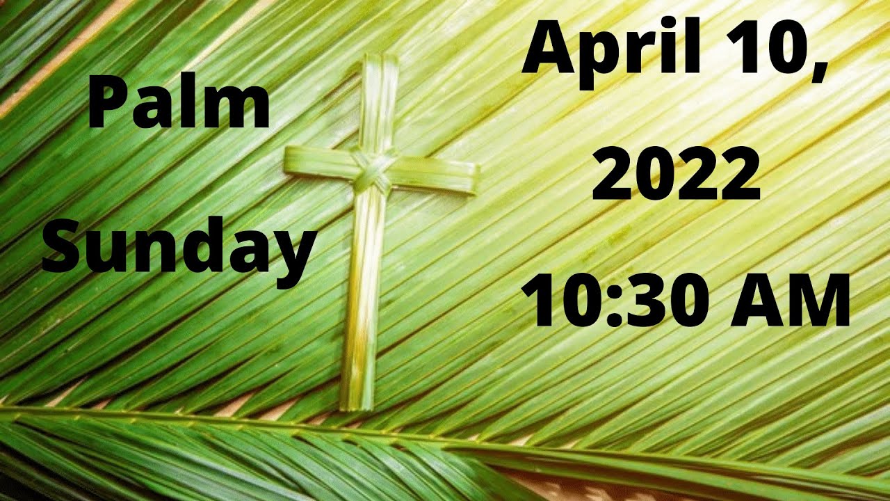 1030 Am Holy Mass Palm Sunday Of The Lords Passion Youtube
