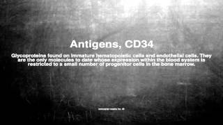 Medical vocabulary: What does Antigens, CD34 mean