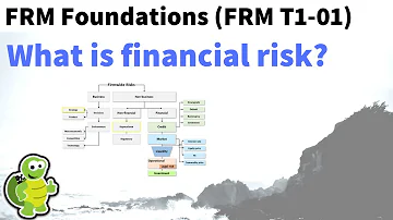 What is financial risk? FRM Foundations (T1-01)