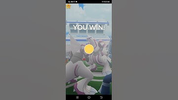 Pokemon Go | Palkia Raid