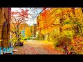 [4K SEOUL] Walk Seoul Korea |연세대학교|Autumn scenery of Yonsei University, Yeonnam-dong(City 3D Sounds)