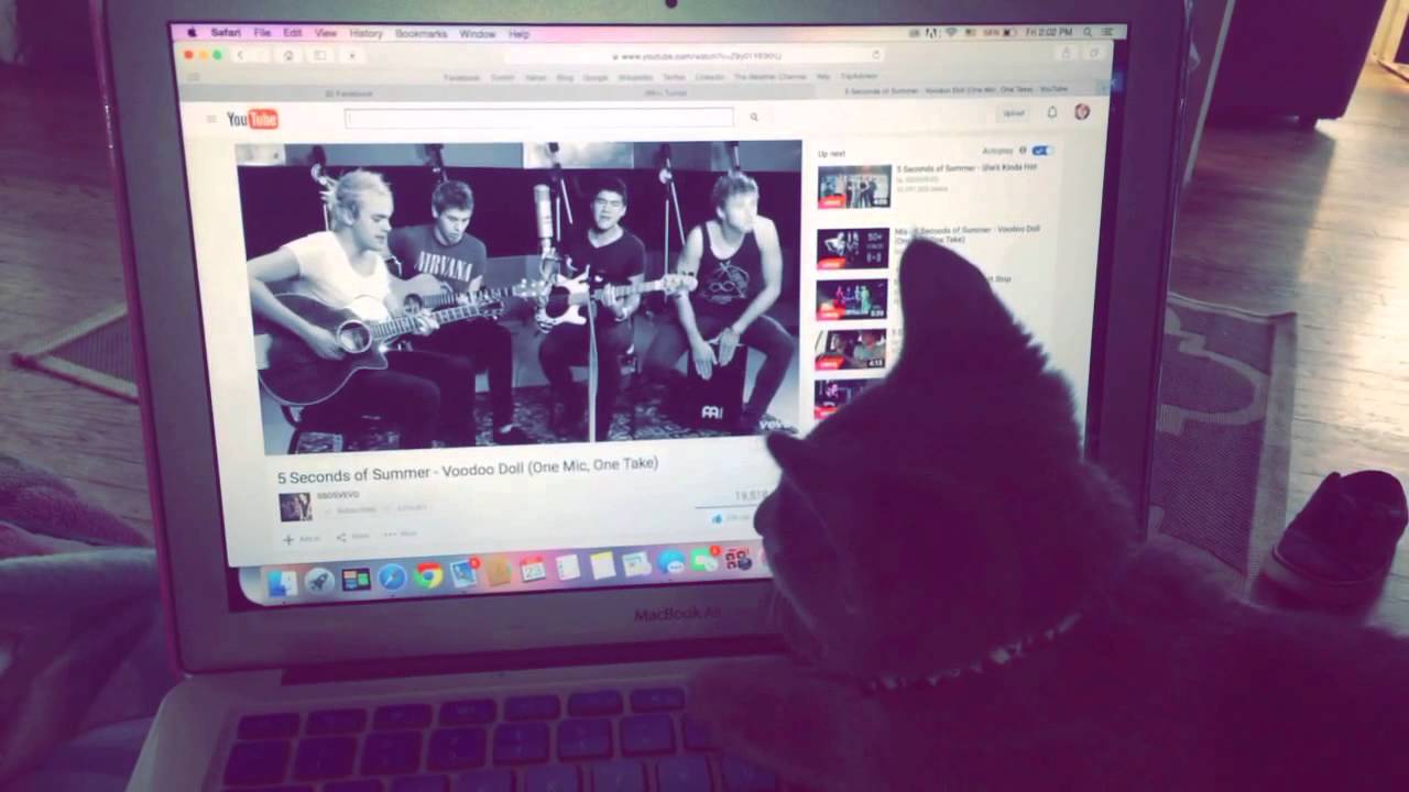 5 Seconds Of Summers Biggest Fan