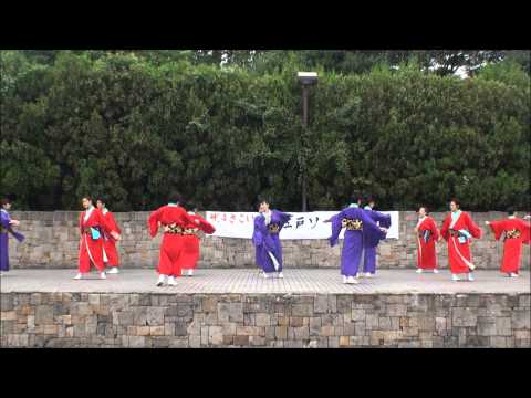 東京よさこい　なな丸隊＠2013　大江戸ソーラン