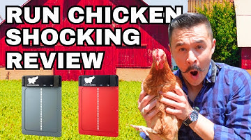 Best Run-Chicken Coop Door Review