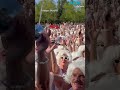 1,000 Marilyn Monroe lookalikes smash Aussie world record