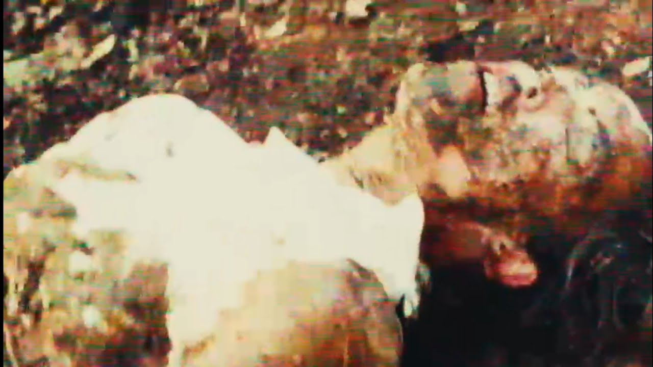 LASAEL - Glimmer of God (Official Video)