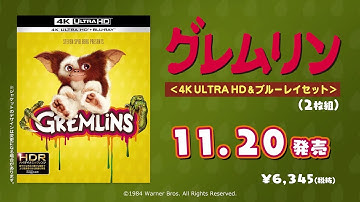 4KUHD/BD【予告編】『グレムリン』11.20リリース
