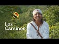 El significado profundo de los Caminos Inkas