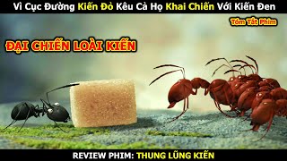 [REVIEW PHIM HOẠT HÌNH] Vì Cục Đường Kiến Đỏ Mang Quân Khai Chiến Với Kiến Đen | Linh San Review