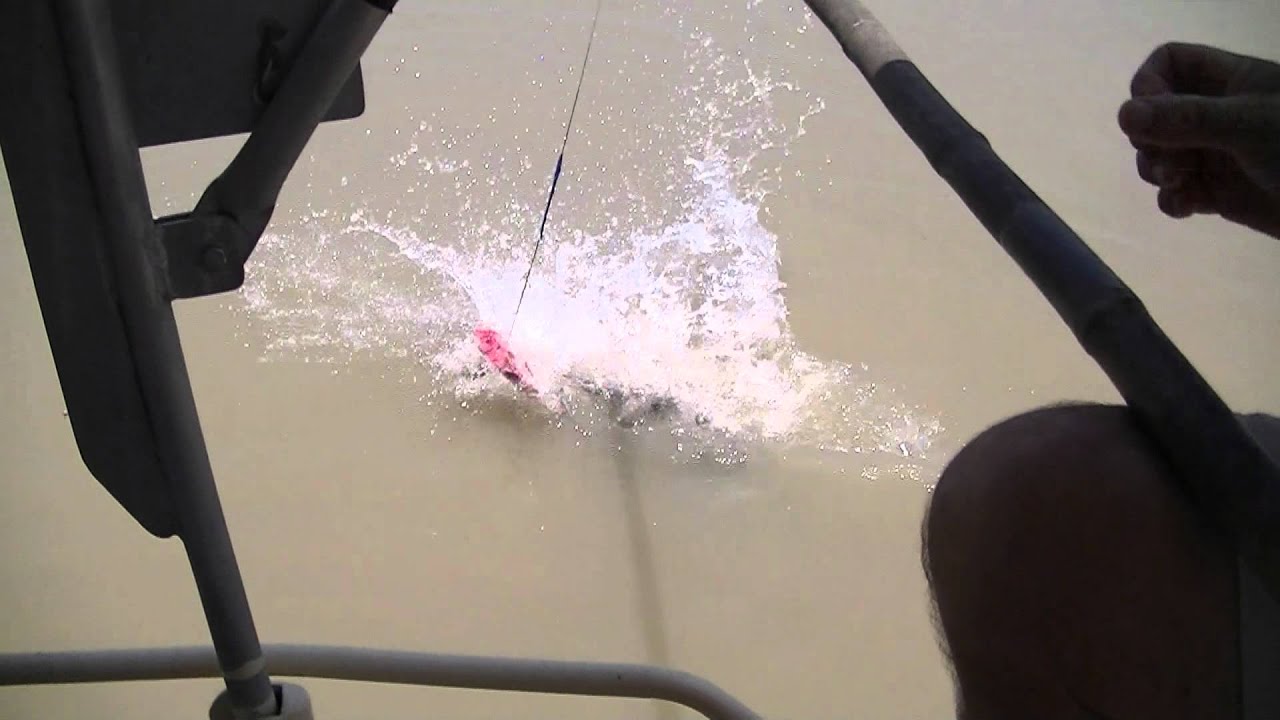 Darwin Crocodile Cruise - I LOVE my Life!!