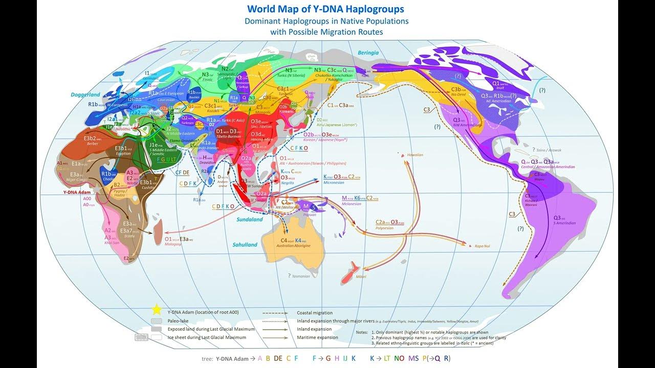 What is a Haplogroup? Haplogroups Explained Straightforward