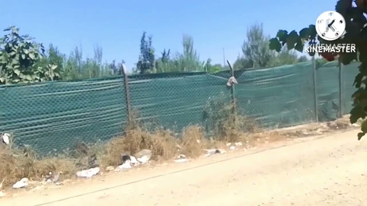 🚨منزل مساحة  200 متر ولاية تيبازة  بلدية بوارقيق سومة 200مليون 🔥