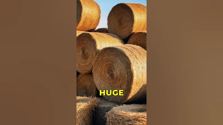 The Cotton Gin: A Revolutionary Invention!