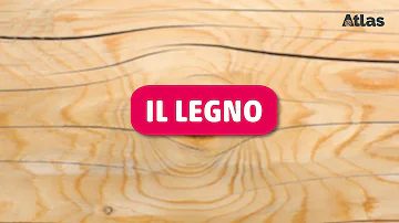 Come si chiamano i legni?