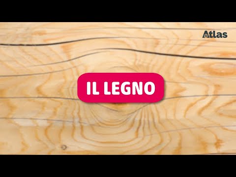 Video: Legno duro e legno tenero: identificare un legno tenero o un albero di latifoglie