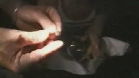 No Doubt in Jamaica Part 4