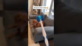 Amazon finds for dog owners, part 7 dogs kobe amazonfinds amazon dentalcare toothbrush