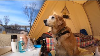 디디의 새로운 감성캠핑 텐트를 소개합니다🏕with sub✨NEW TENT & GIVEAWAY EVENT🔥/ 오토캠핑 / 애견동반캠핑 / 클래식잭100