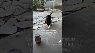 Neighborhood Kitty Friend is back! So happy I have the means to help! #cat #viral #blackcat #love