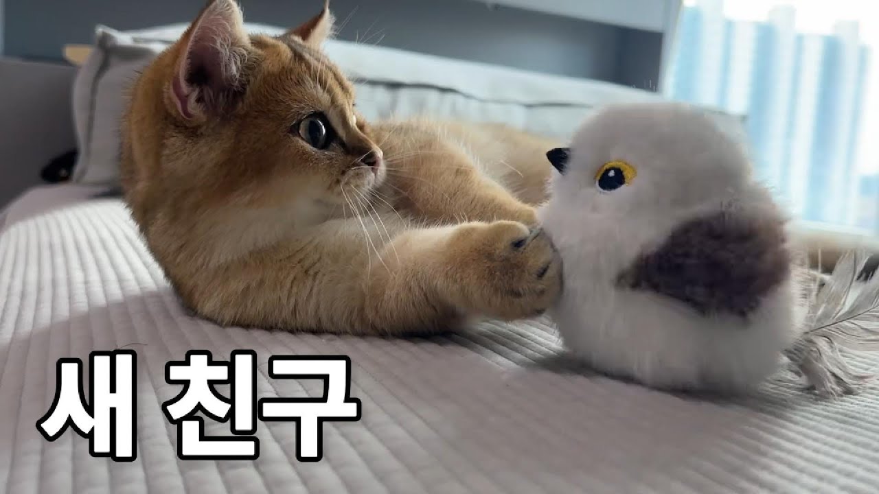 새로운 먹이
