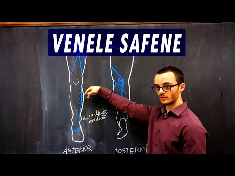 Video: Sistemul Venos: Anatomia și Funcția Venei, Tipurile De Vene, Afecțiuni