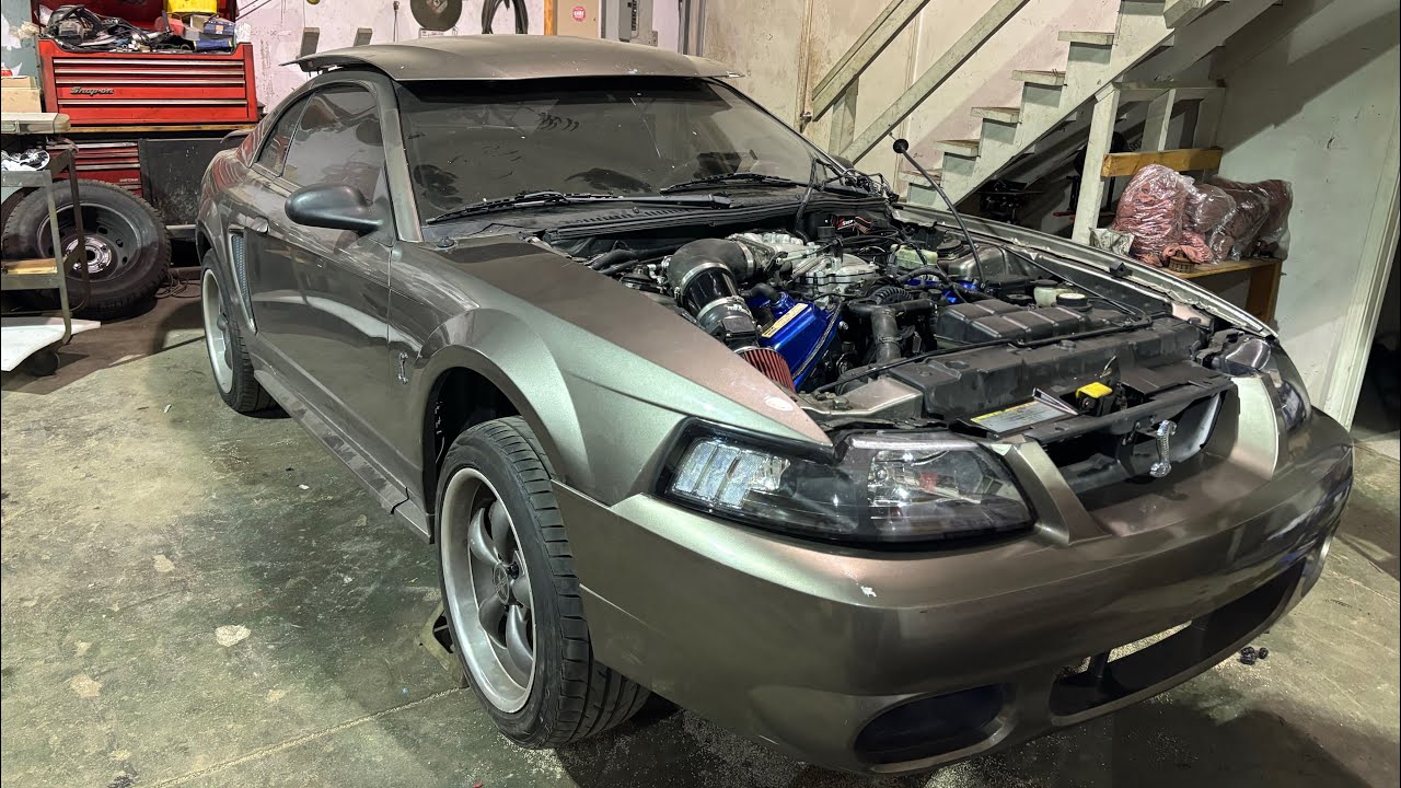 getting my SUPERCHARGED mustang COBRA ready to hit the dyno