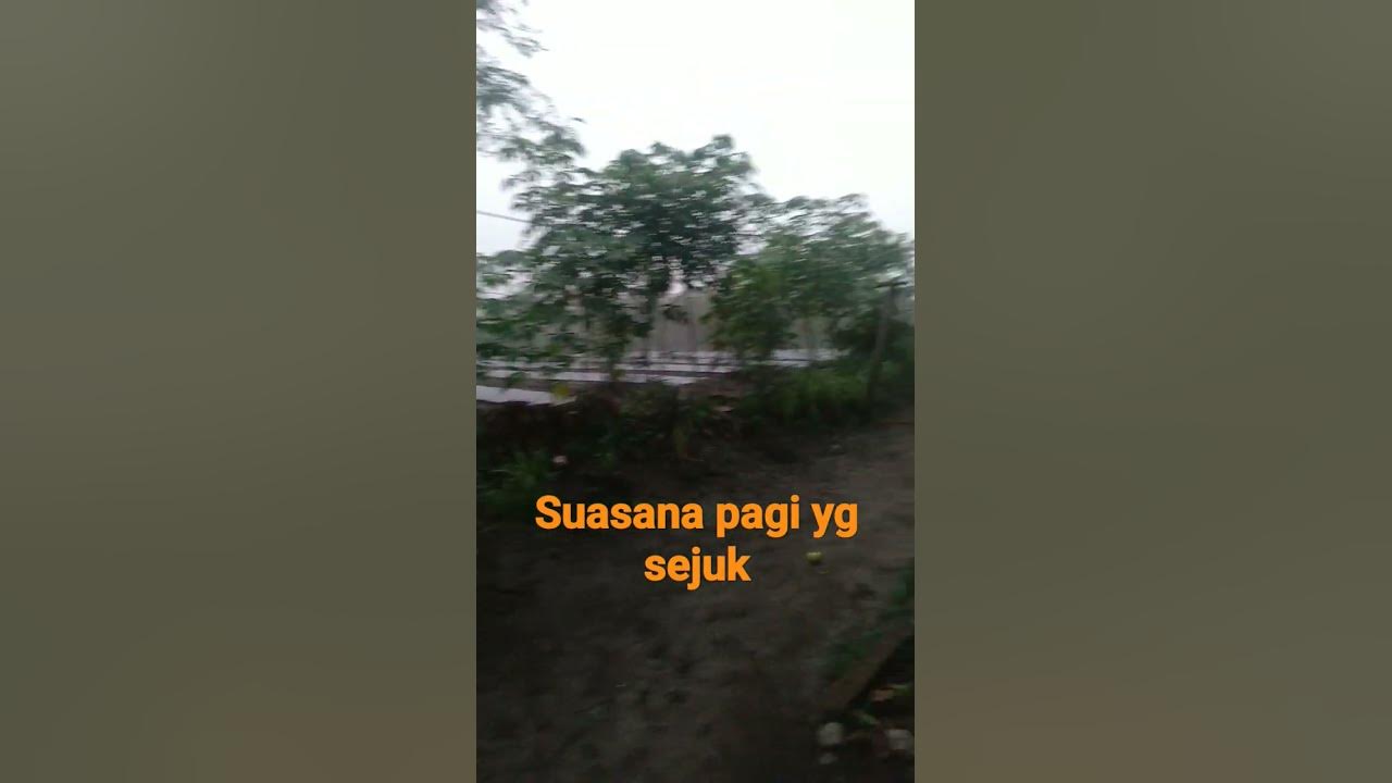 suasana pagi hari di kampung kita , desa lobusiregar II #music #lyrics #song #rnb #love