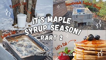 Boiling Maple Sap to Make Maple Syrup (The results are delicious!)