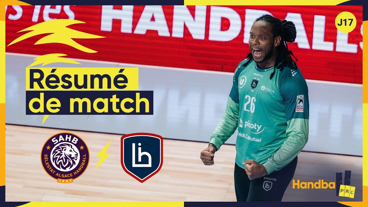 RÉSUMÉ // SELESTAT - LIMOGES // J17 LMSL