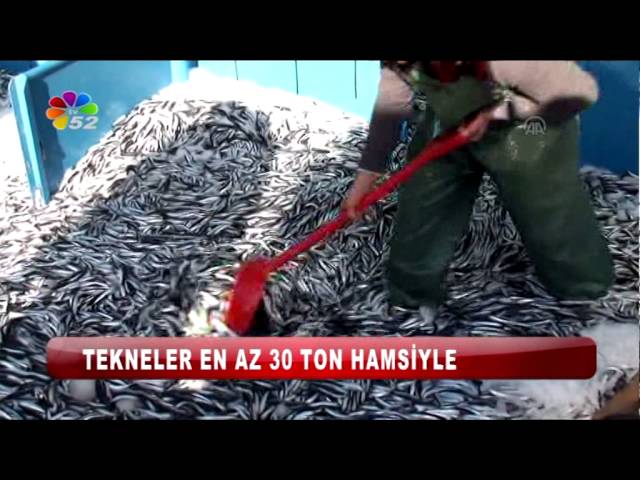 22 11 2015 ANA HABER