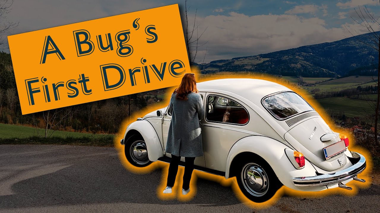 A Bug's First Drive - YouTube