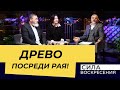 «ДЕРЕВО ПОЗНАНИЯ ДОБРА И ЗЛА». Прямой эфир из Иерусалима