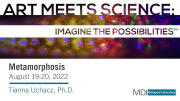 Art Meets Science: Metamorphosis --Tianna Uchacz, Ph.D.