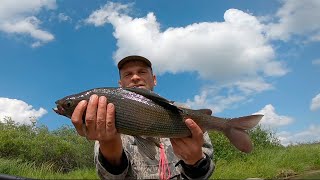 ХАРИУСЫ - ГИГАНТЫ в малой реке