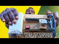 DIY Cardboard Car With Real Motor & Gears! | Made from Scratch 🔧🚗 #diy
