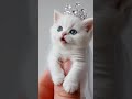 happy 😊 🐈 for your kids