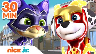 PAW Patrol Mighty Pups Rescue Adventure Bay! | 30 Minute Compilation | Nick Jr.