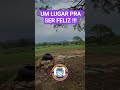 #sertão