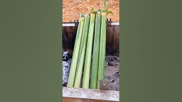 Gà nướng cơm lam đặc sản Tây Nguyên tại nhà hàng Hoa Pơ Lang Măng Đen