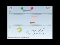 rtPCR animation