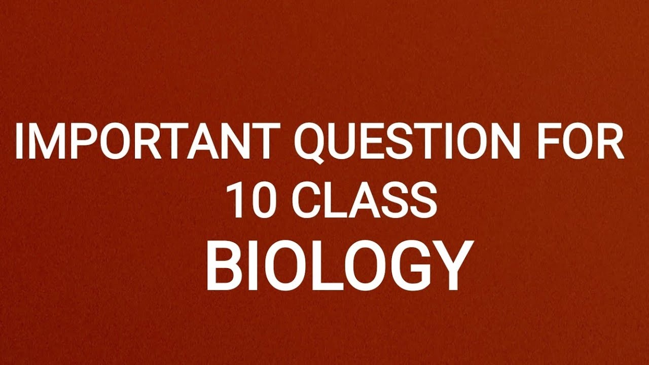 2 What Criteria Do We Use To Decide Whether Something Is Alive YouTube