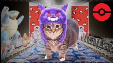 OIIA Cat x Gwenchana Ding Ding Ding 🛎️