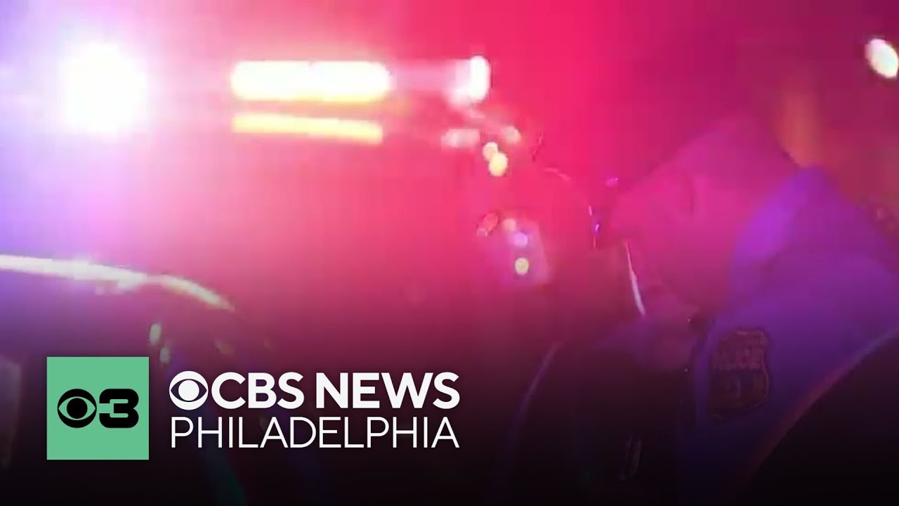 2 teens arrested after armed carjacking, police chase | Digital Brief ...