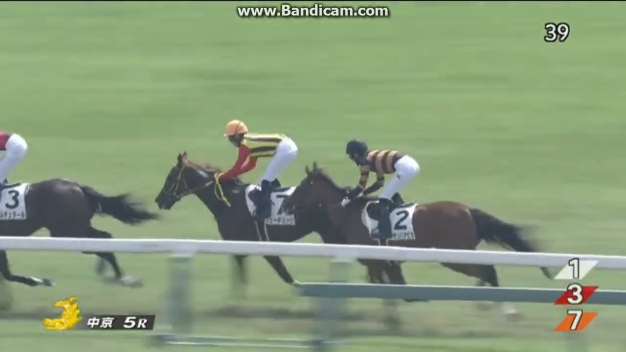 ゲルチュタール 2歳新馬 - YouTube
