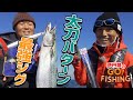 太刀パターンの最強ジグ!? メタルドラゴンで明石海峡の青物ジギング｜伊丹章のGO!FISHING