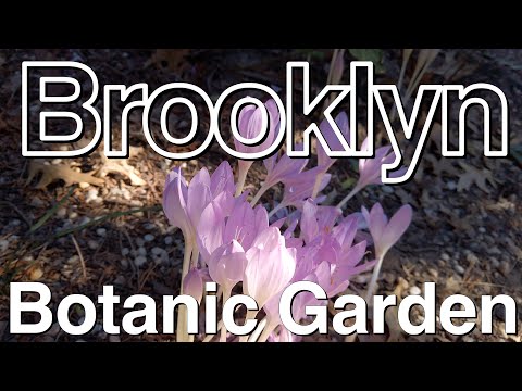 Video: A Visitors Guide to Prospect Park sa Brooklyn, New York